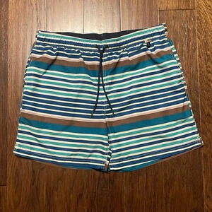 Lands' End Striped Lined Swim Trunks